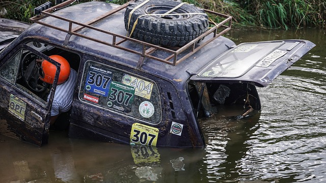 还有一个不 还有一个不