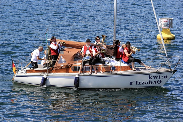 的蓬勃生机 的蓬勃生机