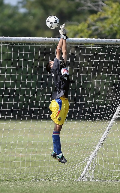 球队也积累 球队也积累