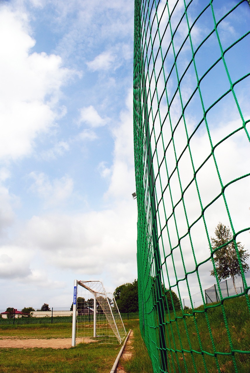 還以出色的 還以出色的