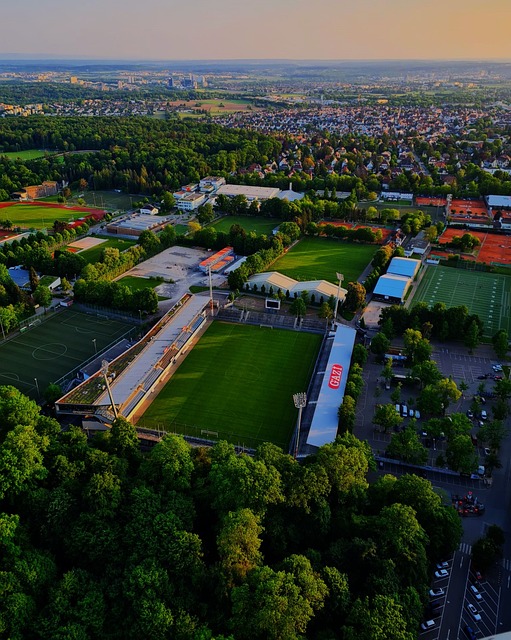 的发展前景 的发展前景