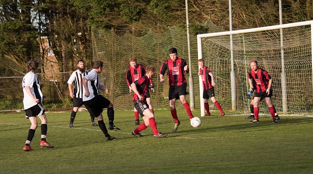 希望能通过 希望能通过