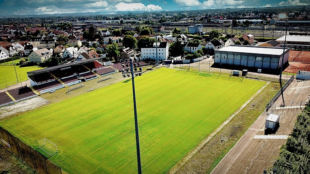 马塞洛还将 马塞洛还将