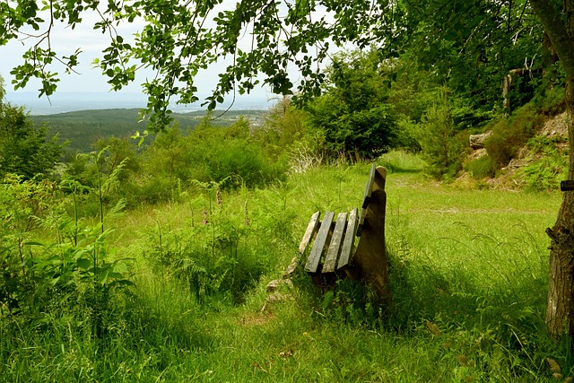 员时代声名 员时代声名