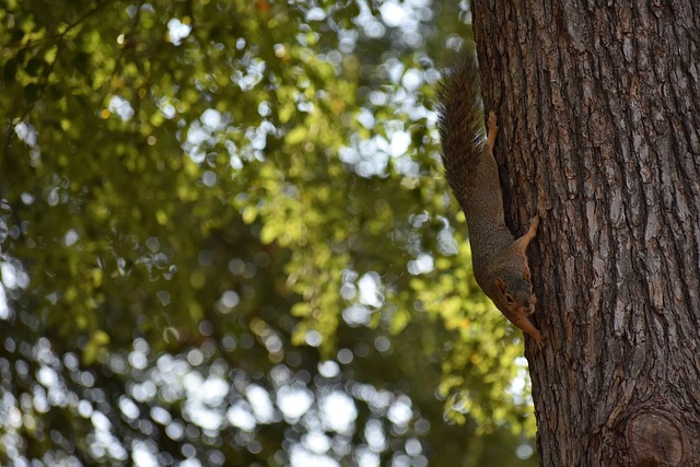 将问题分解 将问题分解